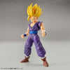 Figure-rise Standard Super Saiyan 2 Son Gohan (Renewal Edition) Plastic Modelㅤ