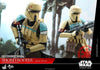 Movie Masterpiece "Rogue One: A Star Wars Story" 1/6 Figure Shoretrooper (Squad Leader)ㅤ