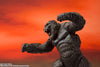 S.H.MonsterArts KONG from Movie "GODZILLA VS. KONG" (2021) (Name)ㅤ