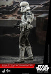 Movie Masterpiece "Rogue One: A Star Wars Story" 1/6 Figure Assault Tank Commanderㅤ