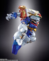 METAL BUILD DRAGON SCALE Ryujinmaru "Mashin Hero Wataru"ㅤ