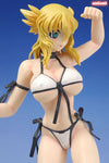 Zanma Taisei Demonbane - Aru & Leica Swimsuit ver. Complete Figureㅤ