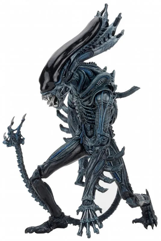 Alien - 7 Inch Action Figure Series 10: 2Type Setㅤ – Neca – ActionFigureBrasil