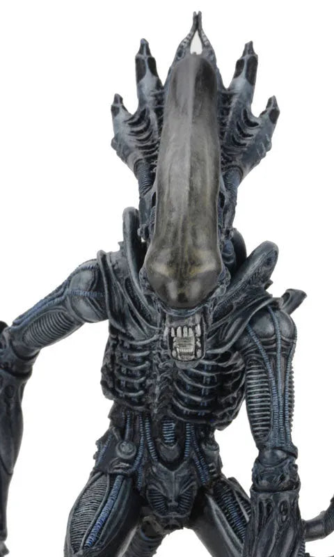 Alien - 7 Inch Action Figure Series 10: 2Type Setㅤ – Neca – ActionFigureBrasil