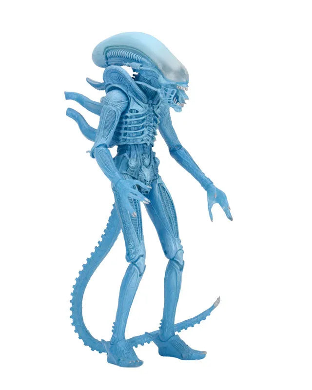 Alien - 7 Inch Action Figure Series 11: 2Type Setㅤ – Neca – ActionFigureBrasil