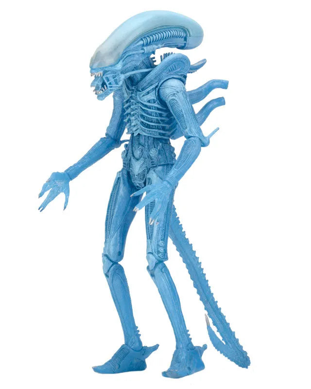 Alien - 7 Inch Action Figure Series 11: 2Type Setㅤ – Neca – ActionFigureBrasil