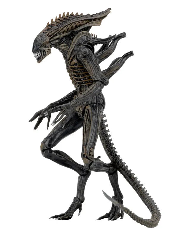 Alien - 7 Inch Action Figure Series 11: 2Type Setㅤ – Neca – ActionFigureBrasil