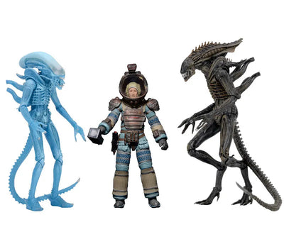 Alien - 7 Inch Action Figure Series 11: 3Type Setㅤ – Neca – ActionFigureBrasil