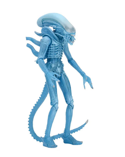 Alien - 7 Inch Action Figure Series 11: 3Type Setㅤ – NECA – ActionFigureBrasil — detalhe do produto