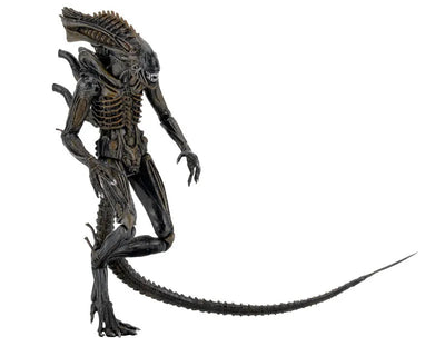 Alien - 7 Inch Action Figure Series 11: 3Type Setㅤ – NECA – ActionFigureBrasil — acessórios