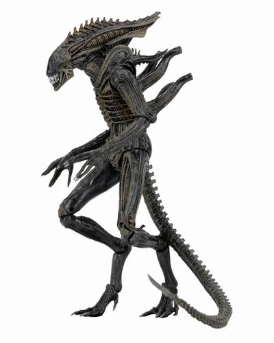 Alien - 7 Inch Action Figure Series 11: Alien Defianceㅤ – Neca – ActionFigureBrasil