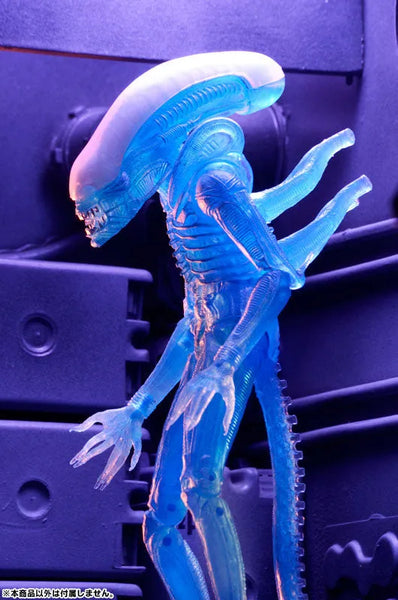 Alien - 7 Inch Action Figure Series 11: Alien Warrior (Clear Blue)ㅤ – Neca – ActionFigureBrasil — com base expositora