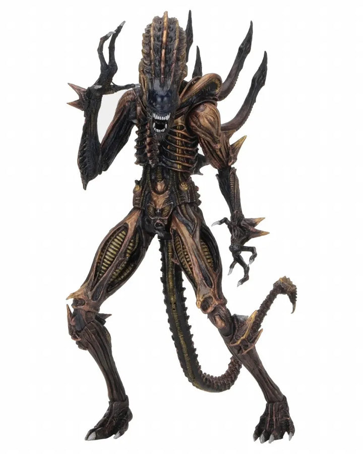 Alien - 7 Inch Action Figure Series 13 Kenner: 3Type Set(Provisional Pre-order)ㅤ – Neca – ActionFigureBrasil