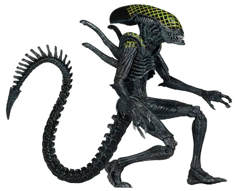 Alien - 7 Inch Action Figure Series 7: 3Type Setㅤ – NECA – ActionFigureBrasil