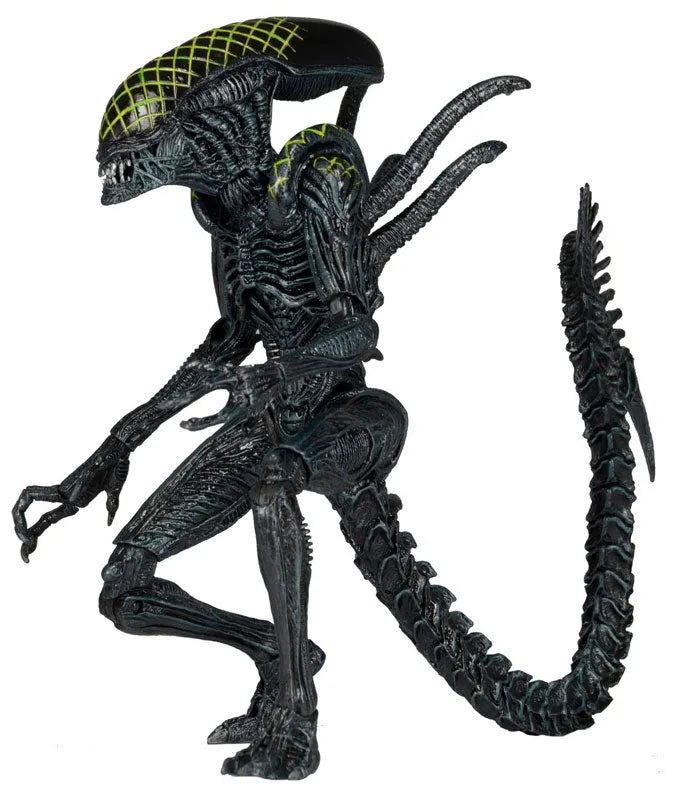Alien - 7 Inch Action Figure Series 7: 3Type Setㅤ – NECA – ActionFigureBrasil