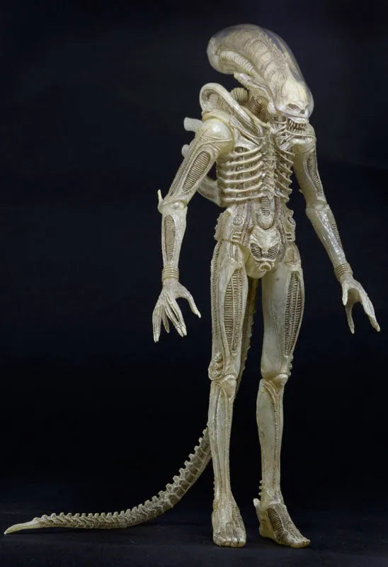 Alien - 7 Inch Action Figure Series 7: 3Type Setㅤ – NECA – ActionFigureBrasil