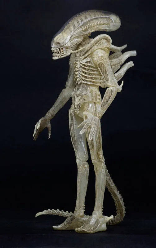 Alien - 7 Inch Action Figure Series 7: 3Type Setㅤ – NECA – ActionFigureBrasil