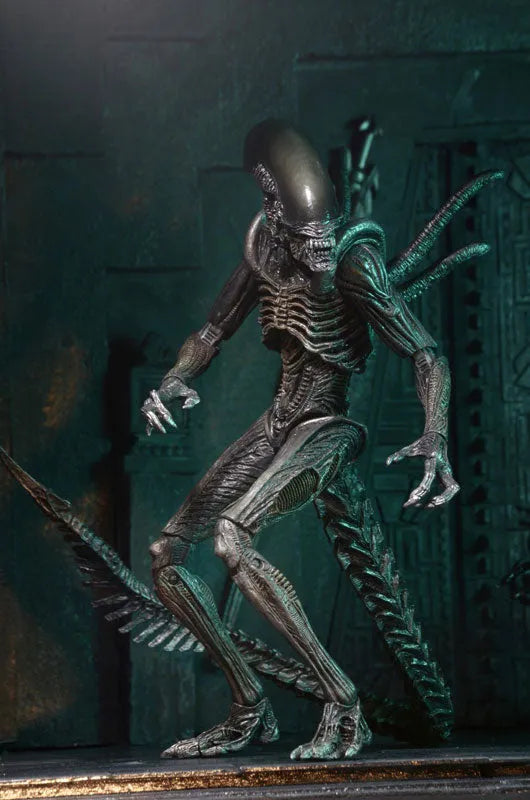 Alien - 7 Inch Action Figure Series 7: 3Type Setㅤ – NECA – ActionFigureBrasil