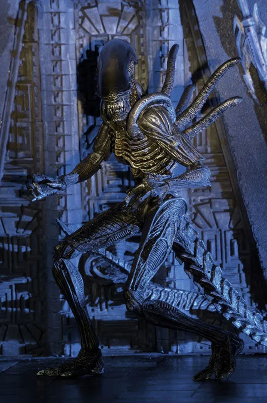 Alien - 7 Inch Action Figure Series 7: 3Type Setㅤ – NECA – ActionFigureBrasil