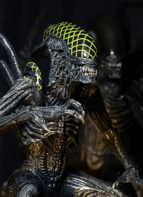 Alien - 7 Inch Action Figure Series 7: 3Type Setㅤ – NECA – ActionFigureBrasil