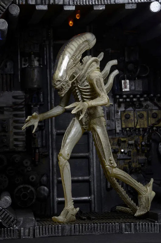 Alien - 7 Inch Action Figure Series 7: 3Type Setㅤ – NECA – ActionFigureBrasil
