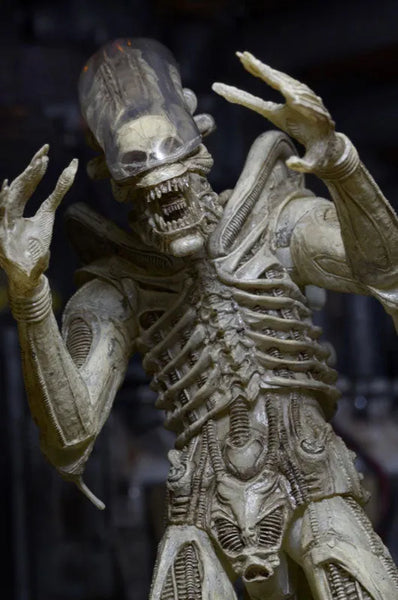 Alien - 7 Inch Action Figure Series 7: 3Type Setㅤ – NECA – ActionFigureBrasil — acessórios