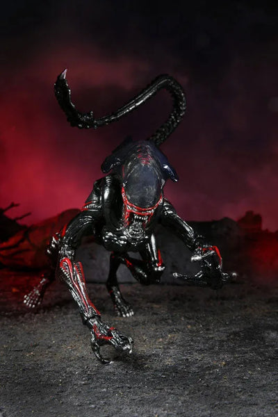 Alien / 7 Inch Action Figure Series Kenner Tribute: Night Cougar Alienㅤ – Neca – ActionFigure Brasil — close