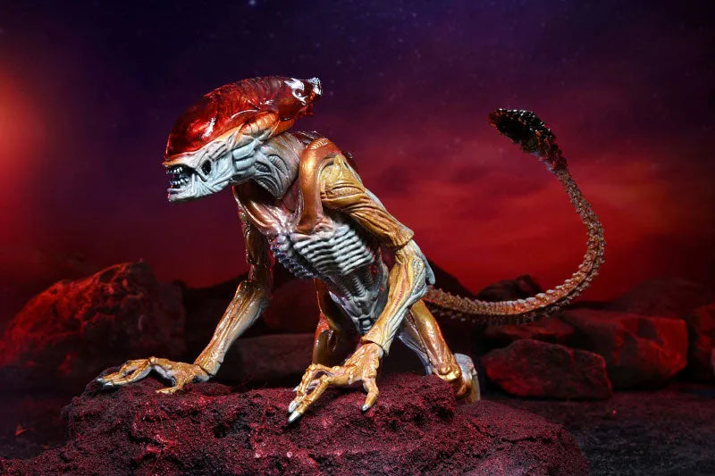 Alien / 7 Inch Action Figure Series Kenner Tribute: Panther Alienㅤ – Neca – ActionFigure Brasil