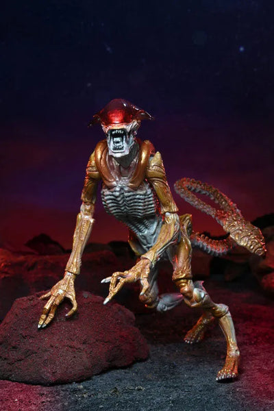Alien / 7 Inch Action Figure Series Kenner Tribute: Panther Alienㅤ – Neca – ActionFigure Brasil — close