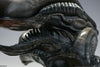 Alien Xenomorph Parasite Mythos