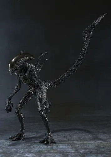 Alien Vs Predator - Alien Warrior - S.H.MonsterArts (Bandai)ㅤ – Bandai – ActionFigureBrasil