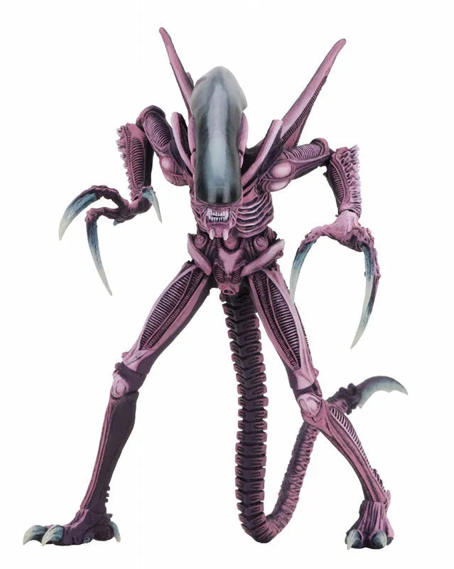 Alien VS Predator Arcade / 7 Inch Action Figure Alien Side: 3Type Setㅤ – NECA – ActionFigureBrasil