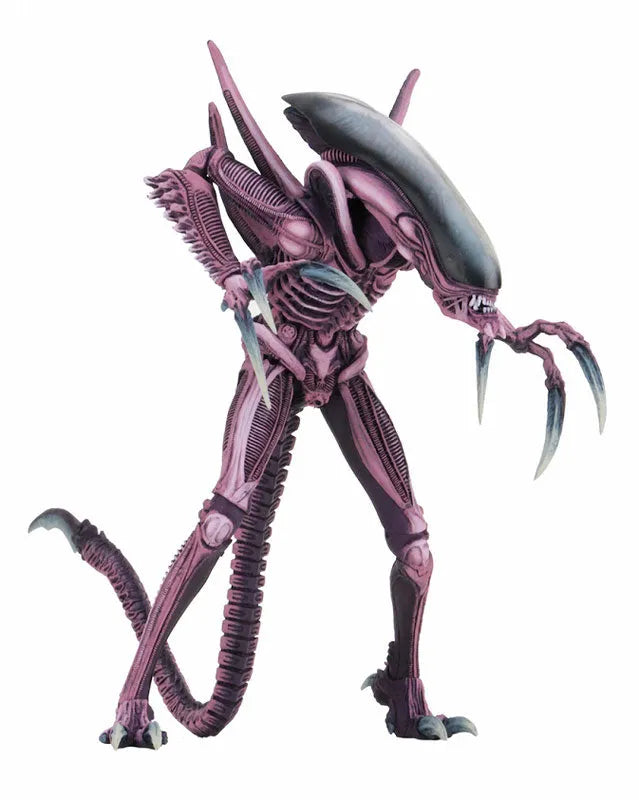 Alien VS Predator Arcade / 7 Inch Action Figure Alien Side: 3Type Setㅤ – NECA – ActionFigureBrasil