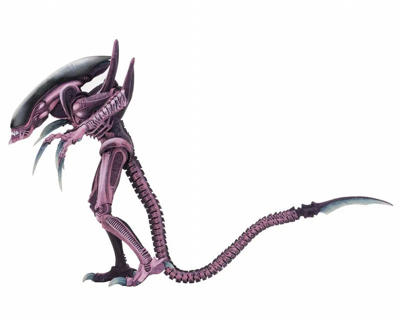 Alien VS Predator Arcade / 7 Inch Action Figure Alien Side: 3Type Setㅤ – NECA – ActionFigureBrasil