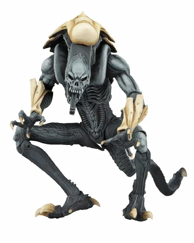 Alien VS Predator Arcade / 7 Inch Action Figure Alien Side: 3Type Setㅤ – NECA – ActionFigureBrasil