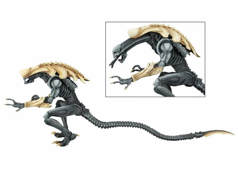 Alien VS Predator Arcade / 7 Inch Action Figure Alien Side: 3Type Setㅤ – NECA – ActionFigureBrasil