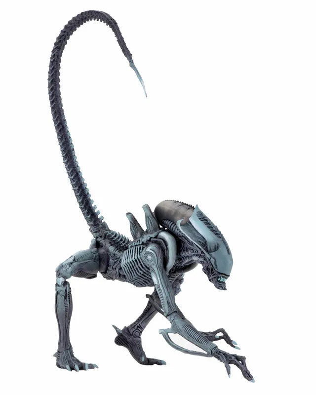 Alien VS Predator Arcade / 7 Inch Action Figure Alien Side: 3Type Setㅤ – NECA – ActionFigureBrasil