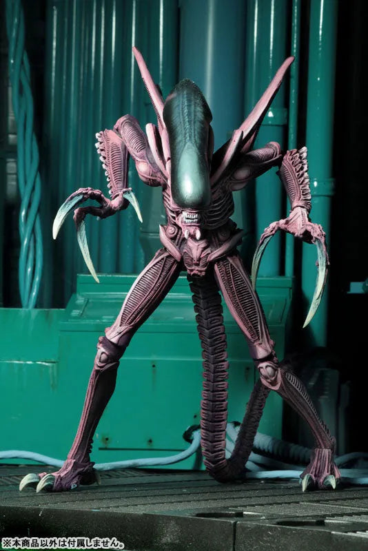 Alien VS Predator Arcade / 7 Inch Action Figure Alien Side: 3Type Setㅤ – NECA – ActionFigureBrasil