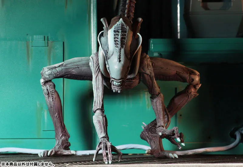 Alien VS Predator Arcade / 7 Inch Action Figure Alien Side: 3Type Setㅤ – NECA – ActionFigureBrasil