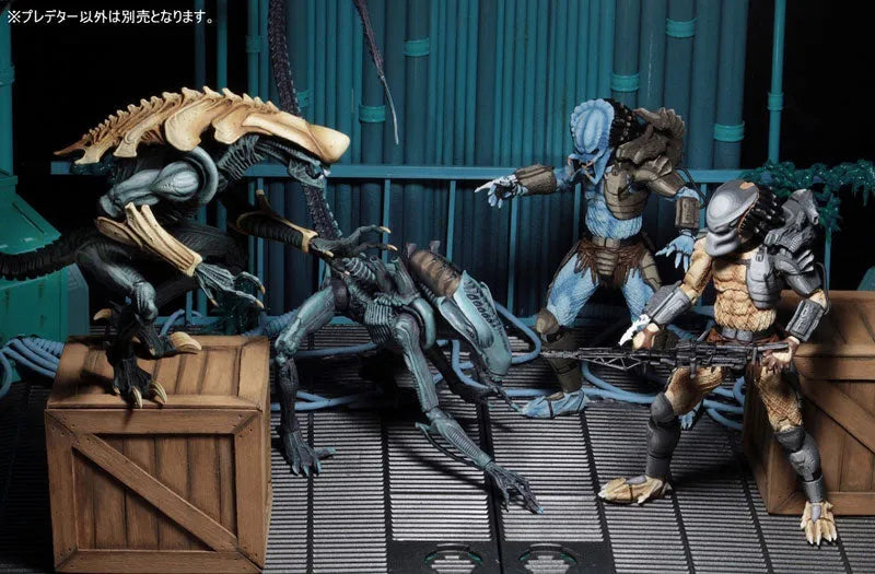 Alien VS Predator Arcade / 7 Inch Action Figure Predator Side: 3Type Setㅤ – NECA – ActionFigureBrasil
