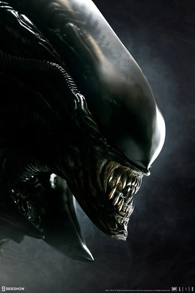 Alien Xenomorph Parasite Mythos – Sideshow Collectibles – ActionFigure Brasil