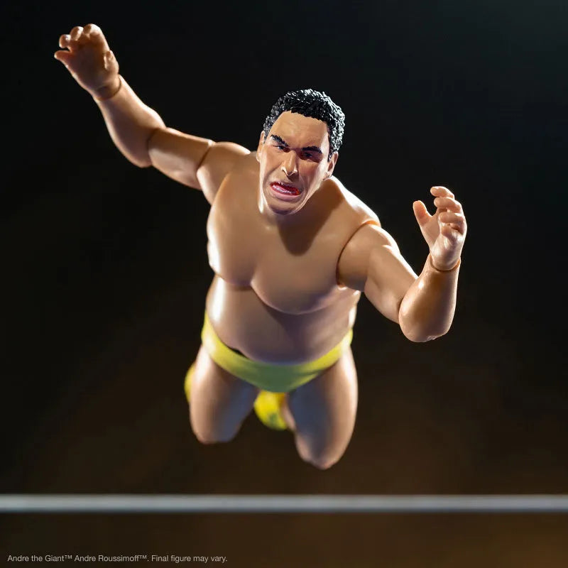 Andre the Giant Ultimate 8 Inch Action Figure ver.2ㅤ – Super7 – ActionFigureBrasil