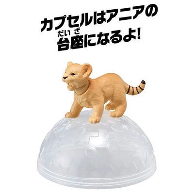 Ania AC-01 Lion (Cub)ㅤ – Takara Tomy – ActionFigure Brasil