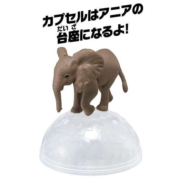 Ania AC-02 Elephant (Child)ㅤ – Takara Tomy – ActionFigure Brasil