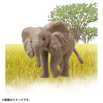 Ania AC-02 Elephant (Child)ㅤ – Takara Tomy – ActionFigureBrasil — detalhe do produto
