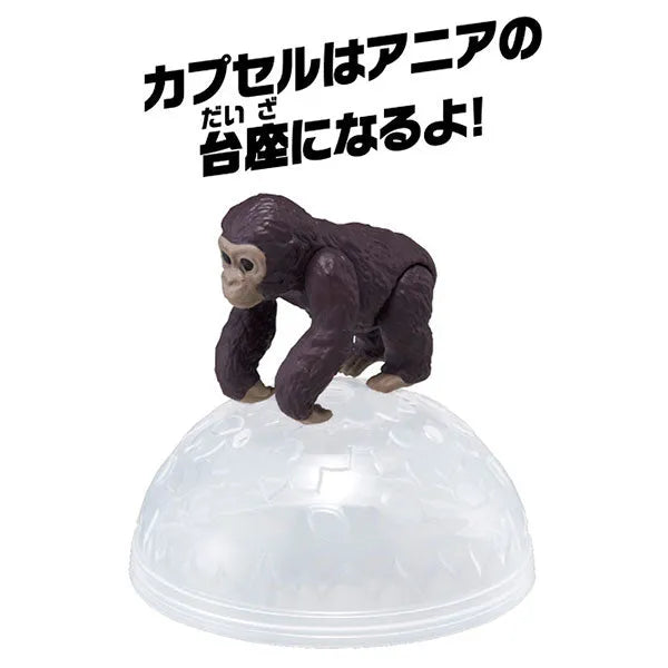 Ania AC-03 Gorilla (Child)ㅤ – Takara Tomy – ActionFigure Brasil