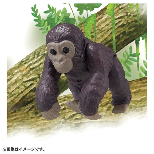 Ania AC-03 Gorilla (Child)ㅤ – Takara Tomy – ActionFigure Brasil