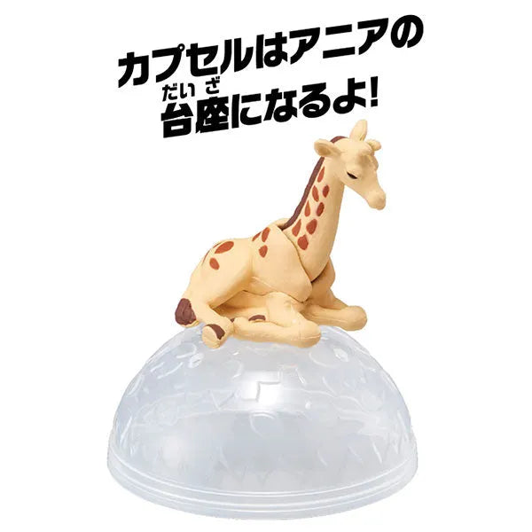 Ania AC-04 Giraffe (Child)ㅤ – Takara Tomy – ActionFigureBrasil
