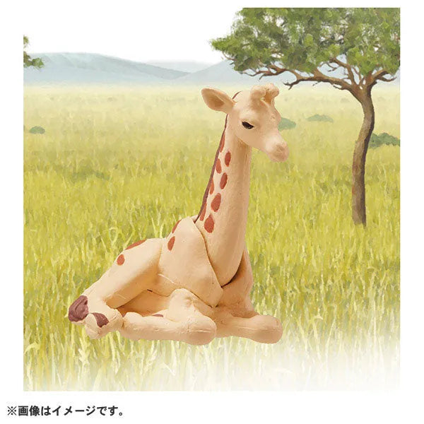 Ania AC-04 Giraffe (Child)ㅤ – Takara Tomy – ActionFigureBrasil