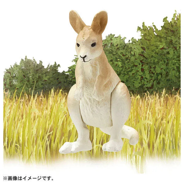 Ania AC-05 Kangaroo (Child)ㅤ – Takara Tomy – ActionFigureBrasil